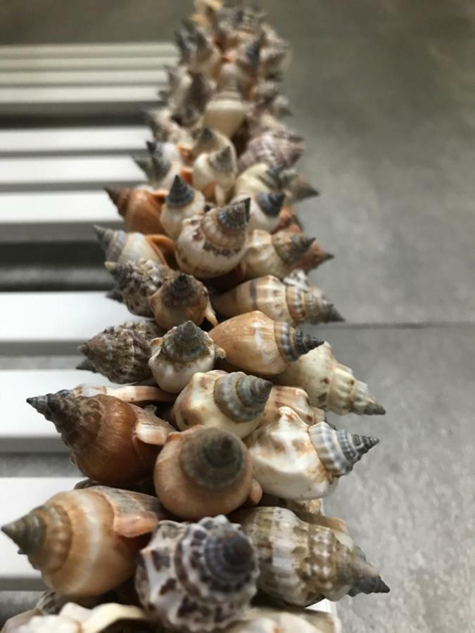 Baltic Melody Apartament Pobierowo Zewnętrze zdjęcie